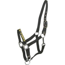 Gatsby I Love My Pony Nylon Halter