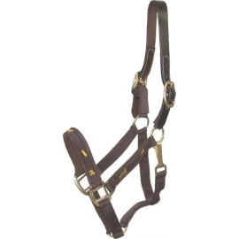 Gatsby Nylon Breakaway Halter With Horse Overlay & Snap