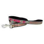 Mlb Anaheim Angels Baseball Pet Leash Reflective Small