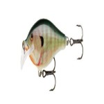 Scatter Rap Crank 05 Bluegill