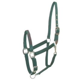 Gatsby I Love My Horse Nylon Halter