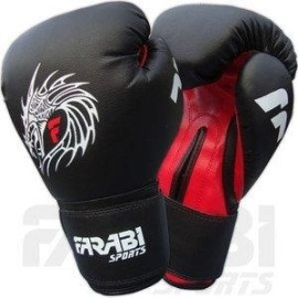 Farabi Dragon Boxing Gloves 16Oz