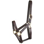 Gatsby Track Style Turnout Halter With Snap