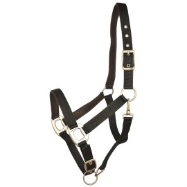 Gatsby Leather Padded Adjustable Nylon Halter