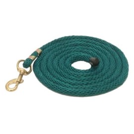 Gatsby Polypropylene 10' Lead With Snap