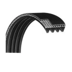 Icon Replacment Treadmill Drive Belt Part 248521 Fits Over 50 Models Nordic Track Proform Rebook And More Models Lis