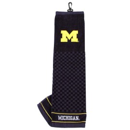 Michigan Wolverines 16