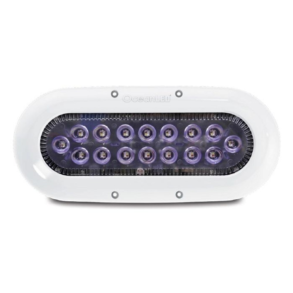 Oceanled X16 X-SERIES Ultra White L.E.D.