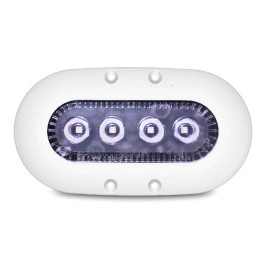 Oceanled X4 X-SERIES Ultra White L.E.D.