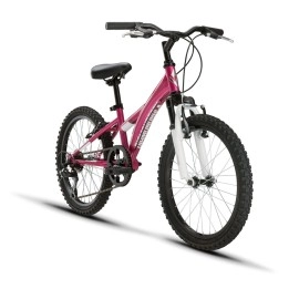 Diamondback Bicycles Tess 20 Youth Girls 20 Wheel Mountain Bike Pink