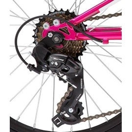 Diamondback Bicycles Tess 20 Youth Girls 20 Wheel Mountain Bike Pink