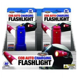Shawshank LEDz 9039845 12V LEDz LED Rechargeable Flashlight - Pack of 12