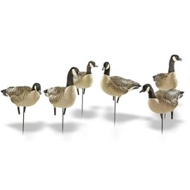 Avianx Topflight Lesser Floaters 4 Pack