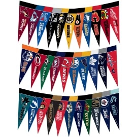 Rico Industries Nhl Hockey 4 X 9 Felt Mini Pennant League Set Includes All Teams