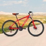 Adult Red Bike SEAICH AMR 26