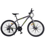 Adult Gray Green Bike SEAICH SPX 29