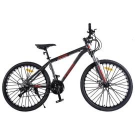 Adult Gray Red Bike SEAICH SPX 29