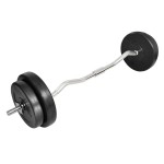 Vidaxl Curl Bar With Weights 661 Lb