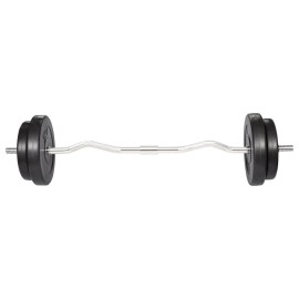 Vidaxl Curl Bar With Weights 661 Lb