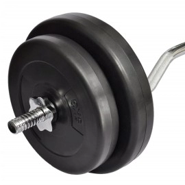 Vidaxl Curl Bar With Weights 661 Lb